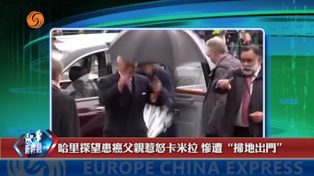 2024年02月24日 熱門盤點