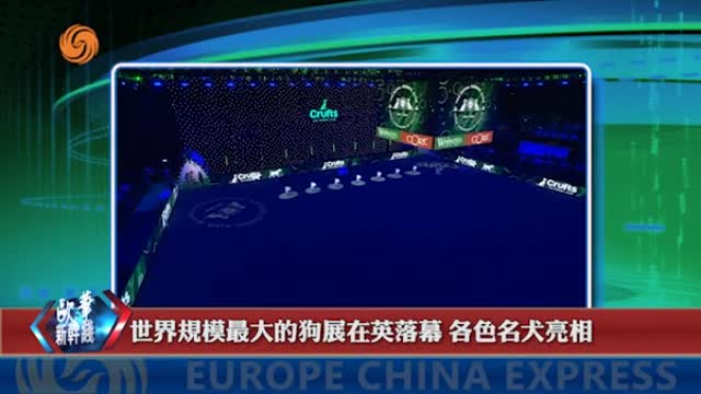 2024年03月13日 熱門盤點