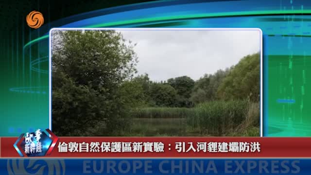 2024年06月19日 熱門盤點