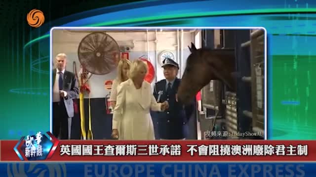 2024年10月14日 熱門盤點