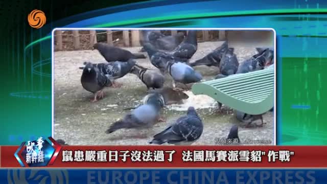 2024年10月23日 熱門盤點