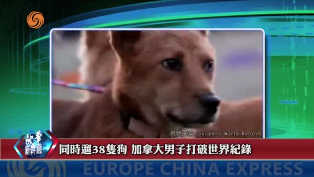 2024年11月02日 熱門盤點