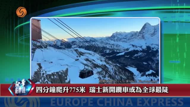 2024年12月22日 熱門盤點