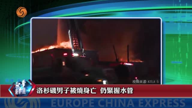 2025年01月11日 熱門盤點