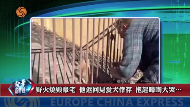 2025年01月14日 熱門盤點