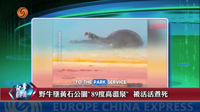 2025年07月04日 熱門盤點
